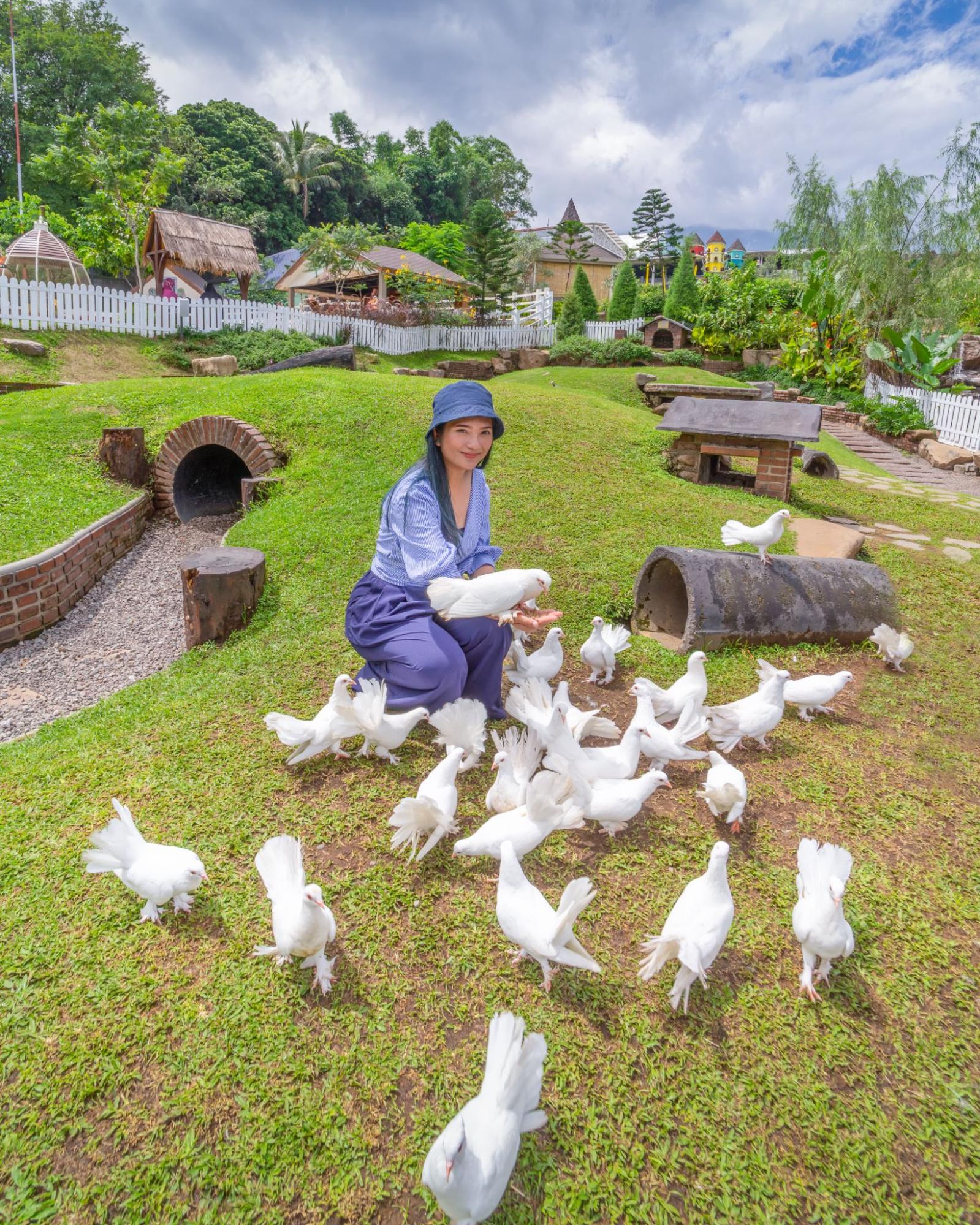 Bird Aviary