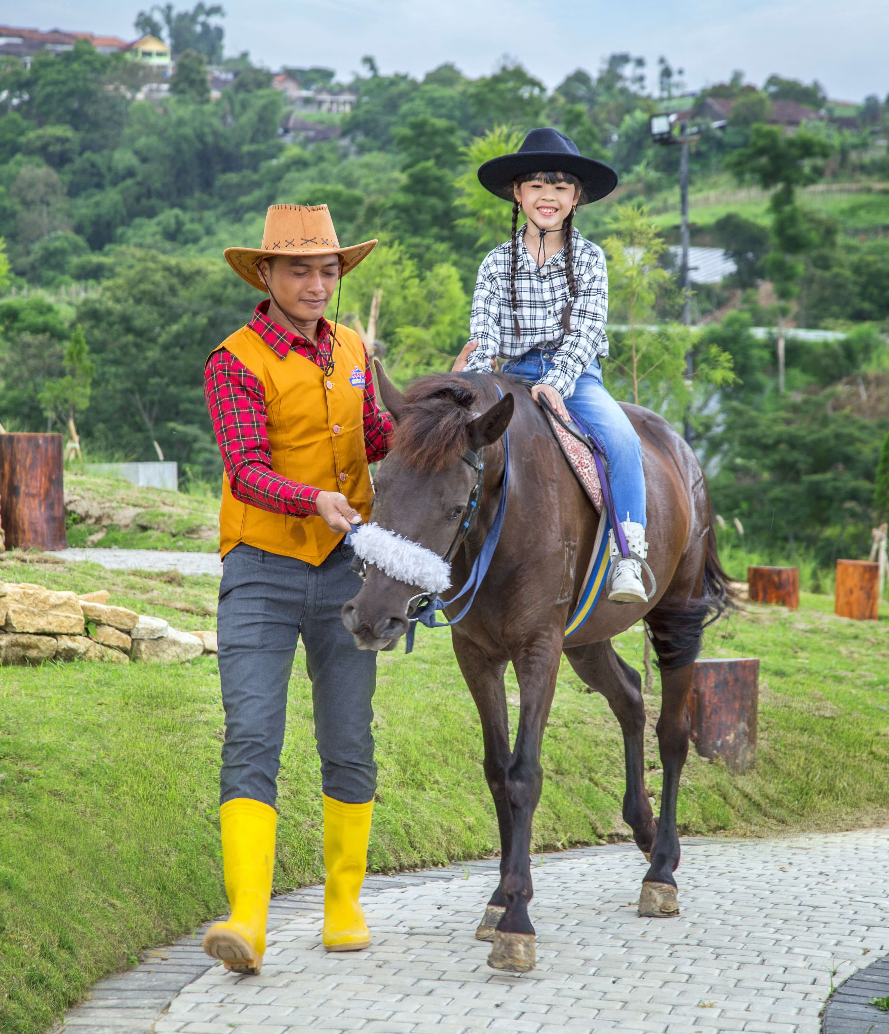 Horse Riding