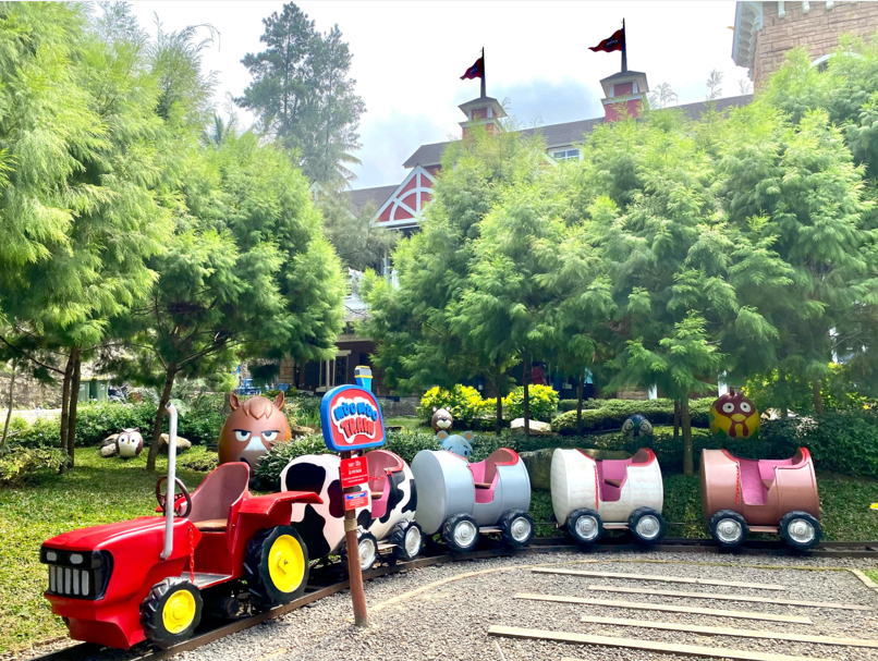 Moo Moo Train