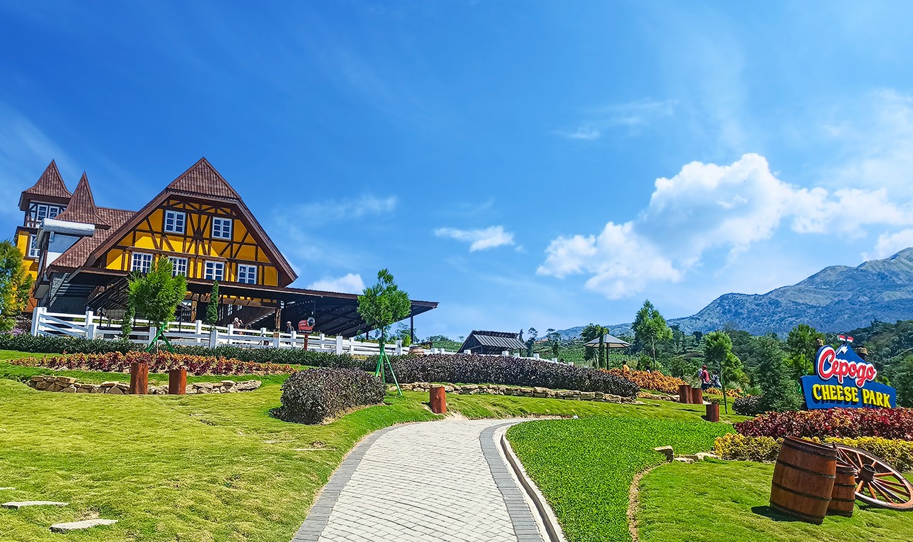 Gallery Dairyland 1