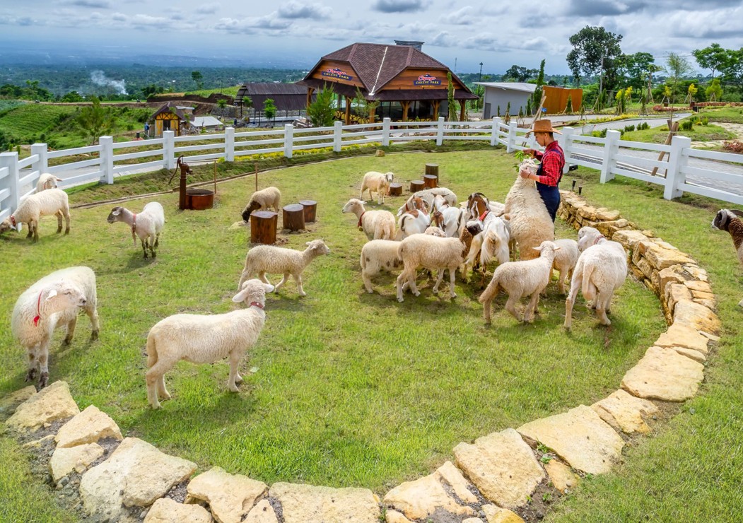 Gallery Dairyland 2
