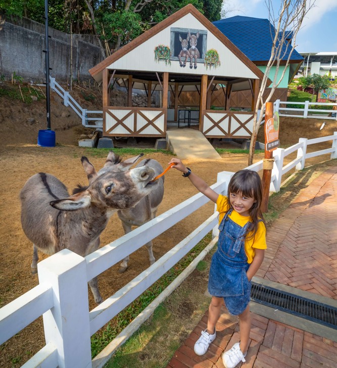 Gallery Dairyland 5