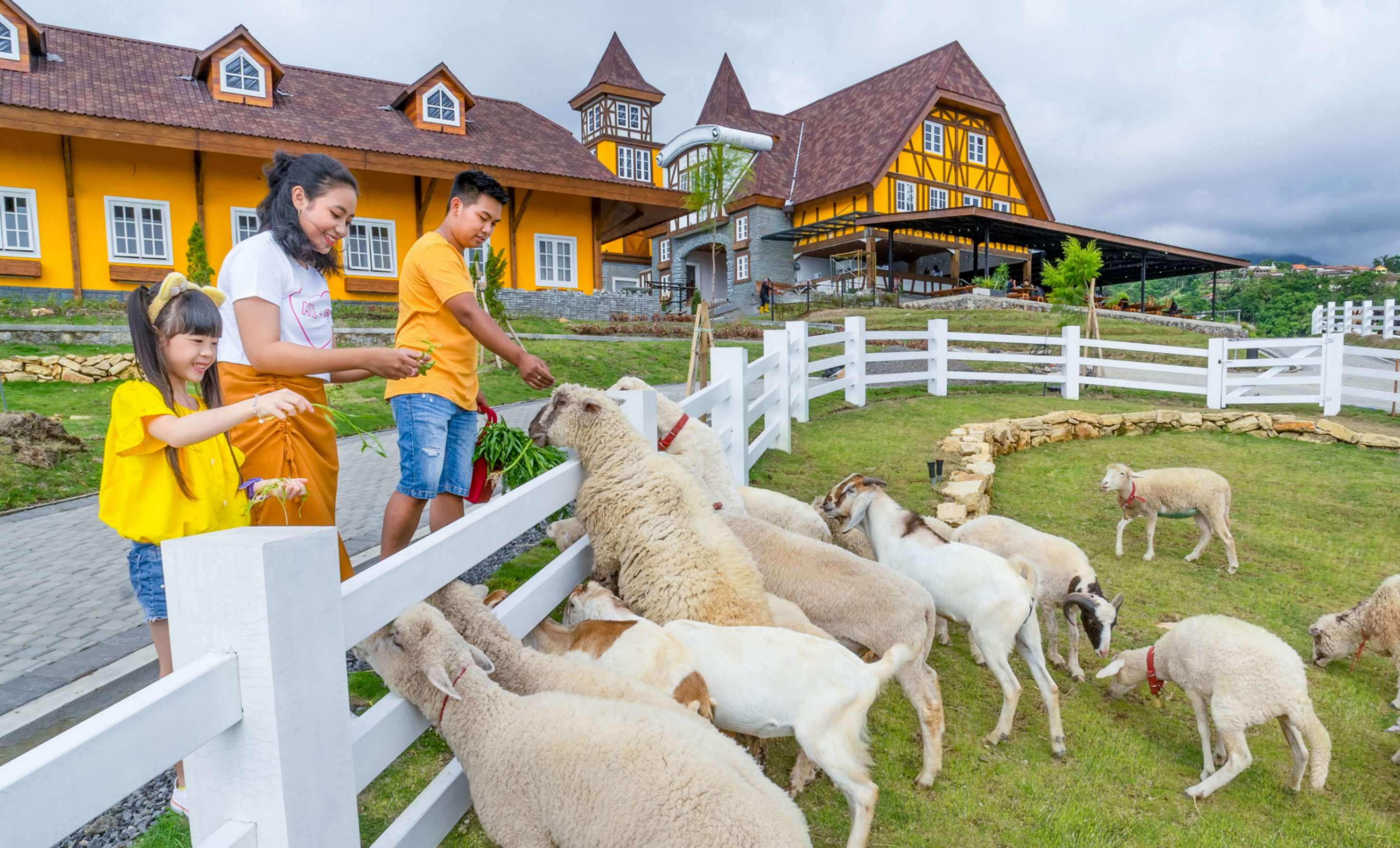 Gallery Dairyland 2