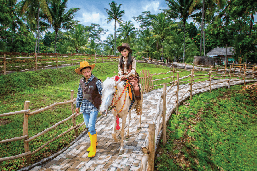 Gallery Dairyland 3