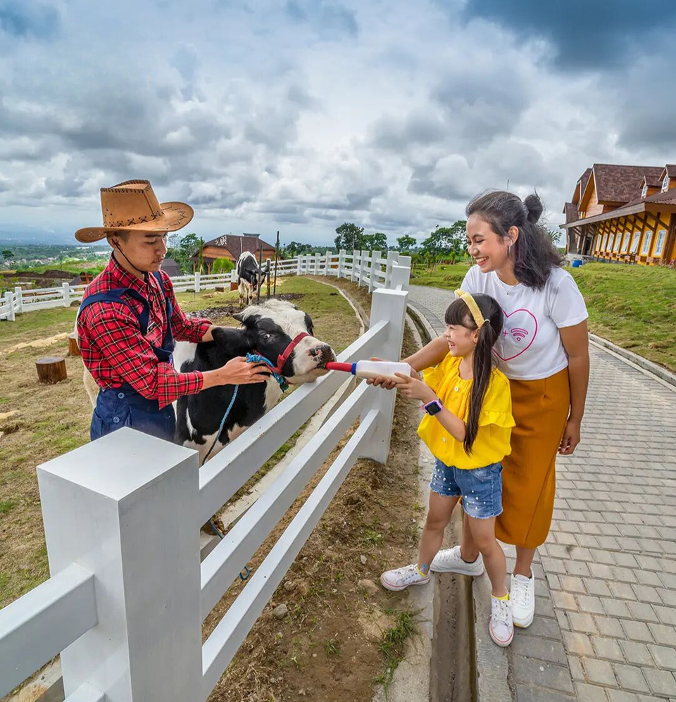 Ayo Rasakan Serunya Animal Feeding Di Cepogo Cheese Park!