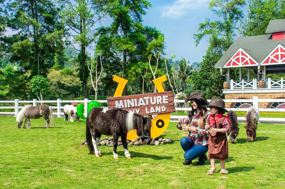 Catat! Jadwal Buka-Tutup Jalur Puncak & Aturan Ganjil Genap Setiap Akhir Pekan