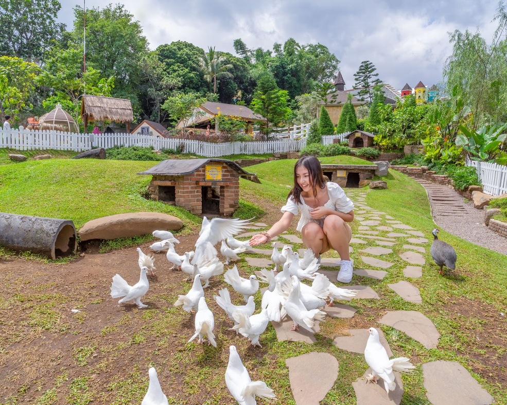 Dairyland Farm Theme Park Prigen: Taman Wisata Di Pasuruan Terfavorit