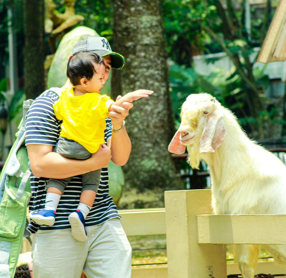 Rute Ke Dairyland Riverside Puncak Buat Persiapan Liburan